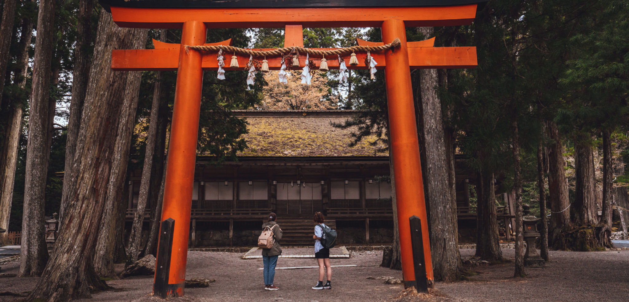 Le Japon vous tend les bras !