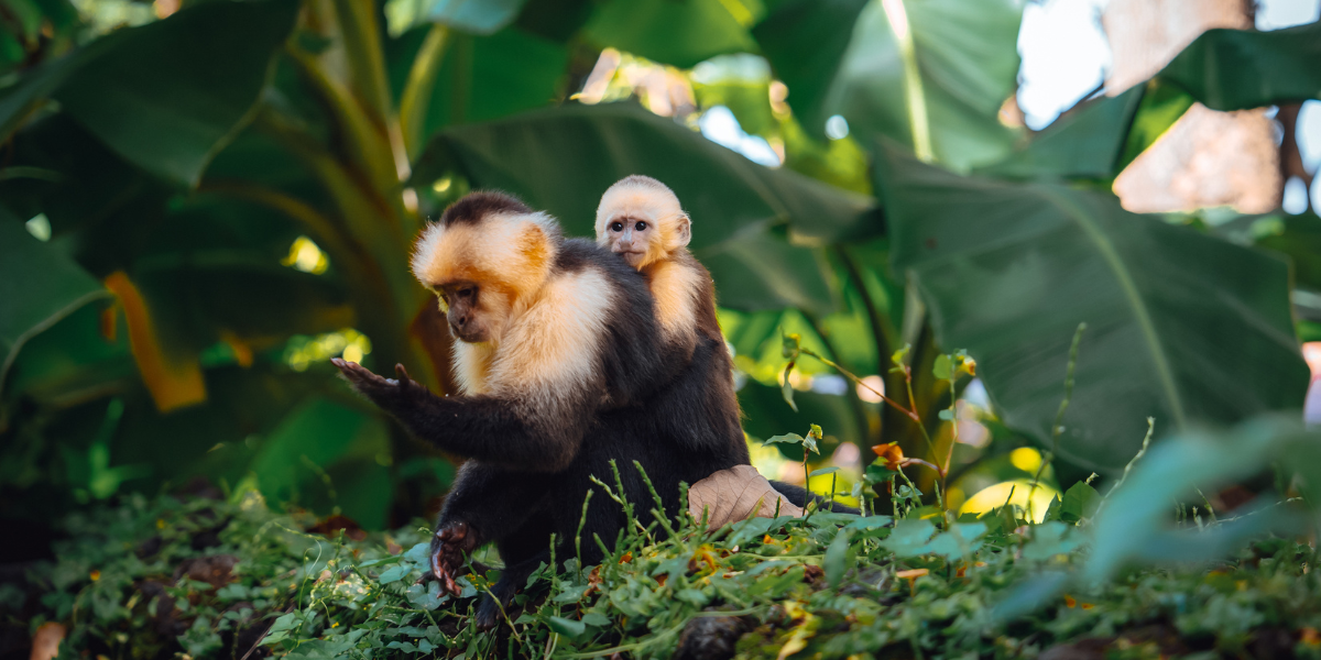 Au coeur d'une nature époustouflante ! 