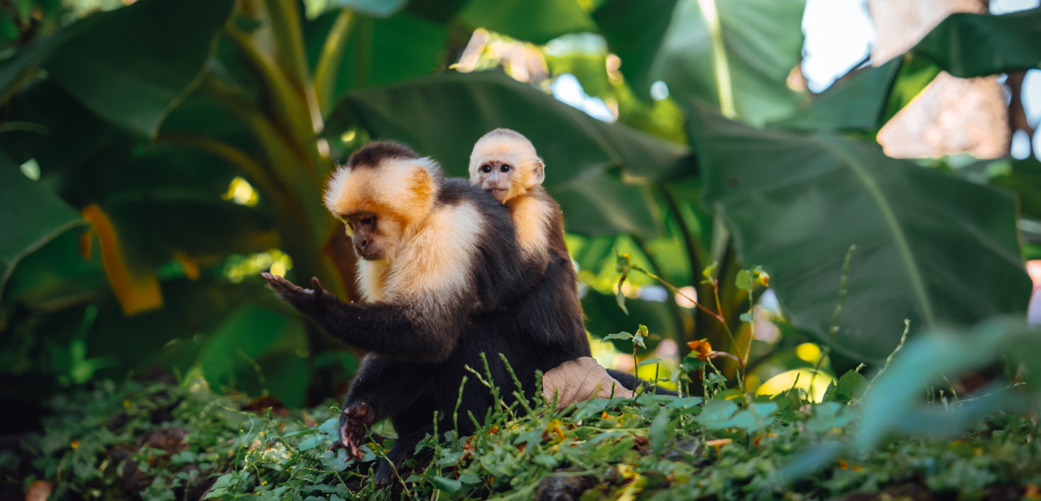 Au coeur d'une nature époustouflante !