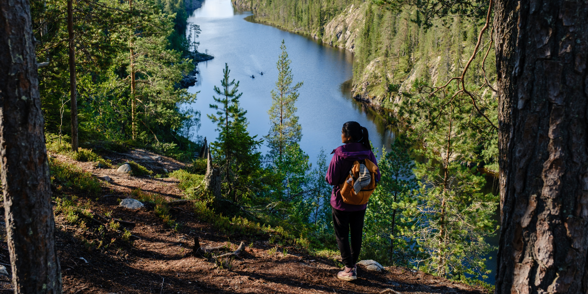 Canyon Julma-Olkky, Parc national Hossa, Finlande ©Shutterstock 