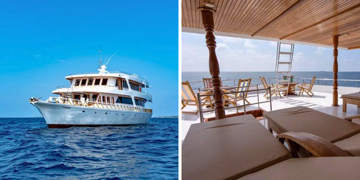 Embarquez à bord de votre bateau idéal pour le cabotage : le Blue Shark I (ou similaire, selon date de départ) 