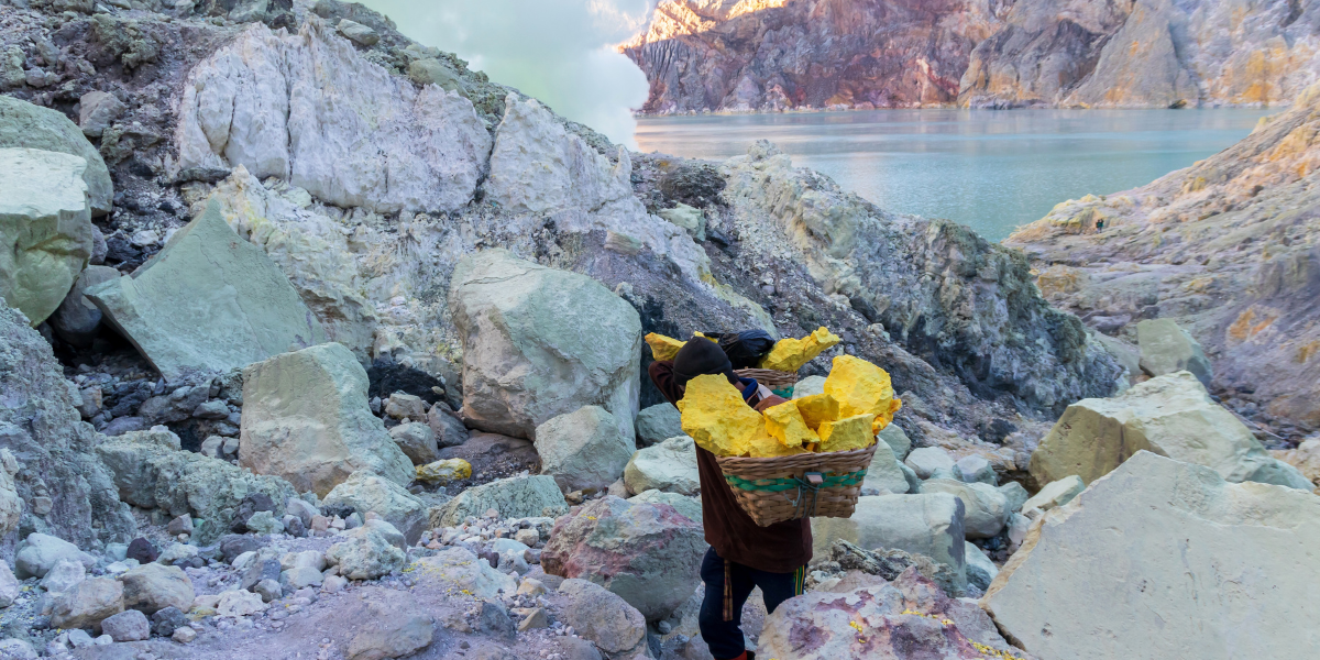 Transporteurs de souffre