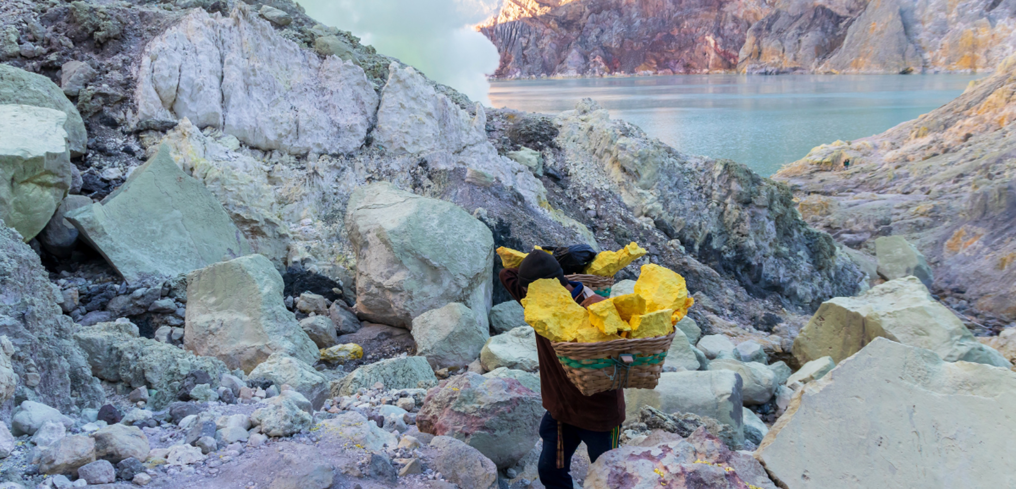 Transporteurs de souffre