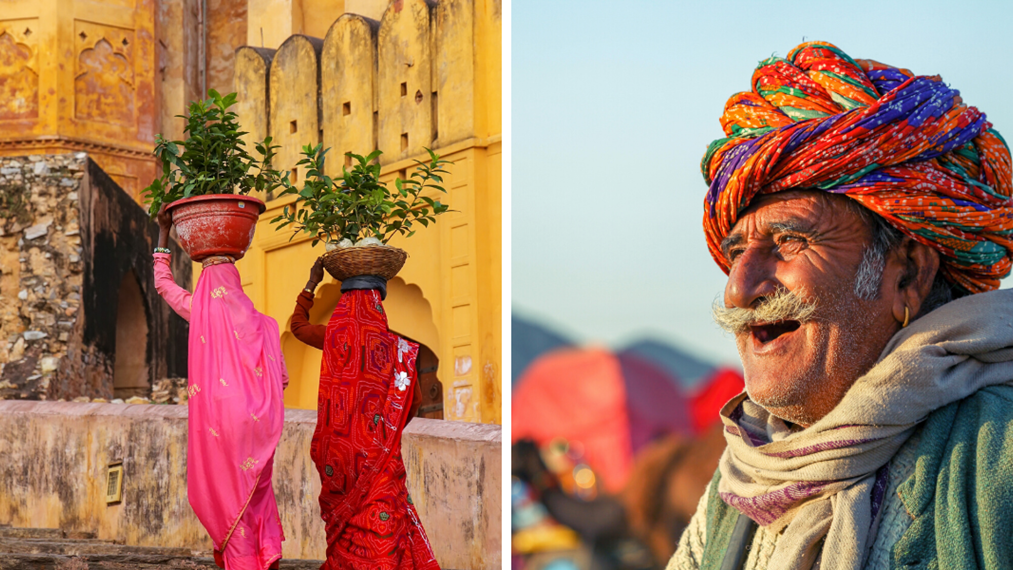 Faites des rencontres hautes en couleurs !