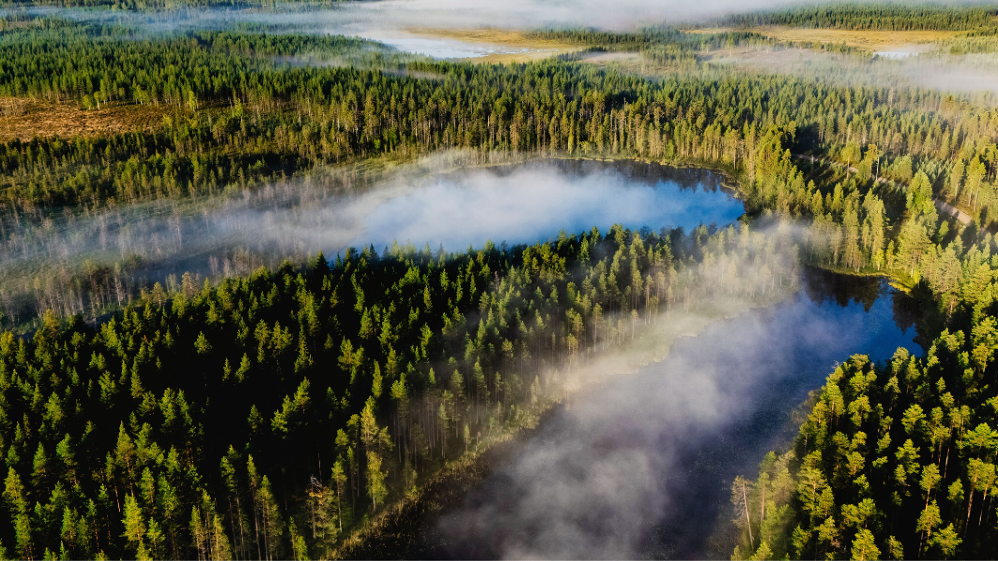Parc national de Hossa, Finlande ©Shutterstock