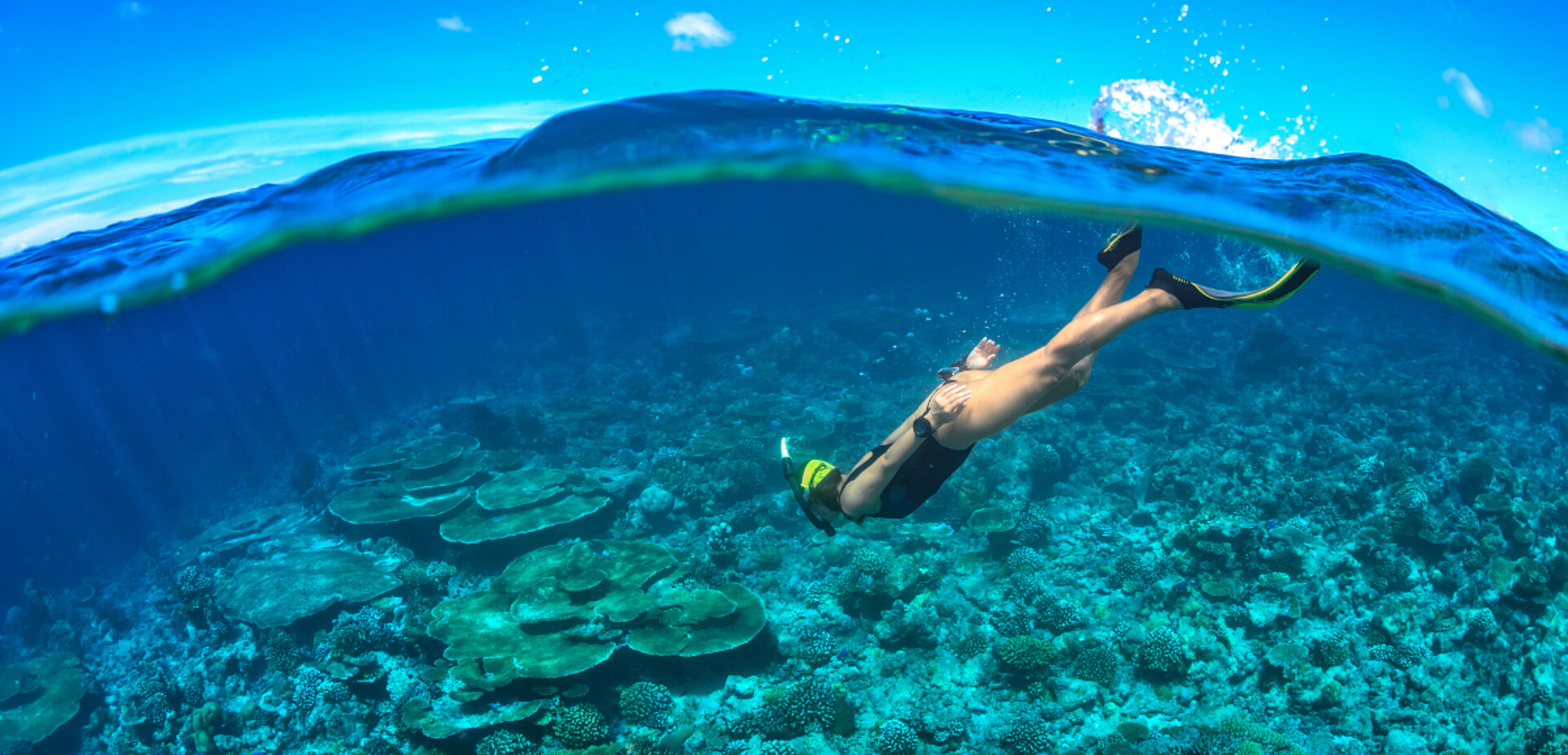 Snorkeling au milieu des poissons exotiques