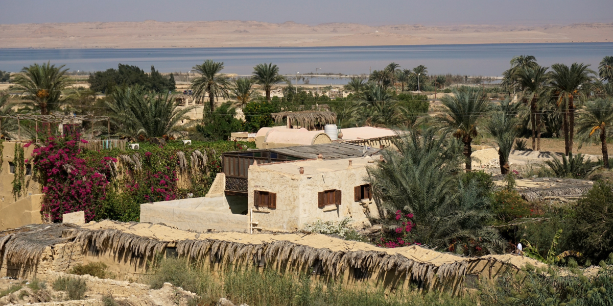 Village de Tunis, au coeur de l'oasis d'El Fayoum