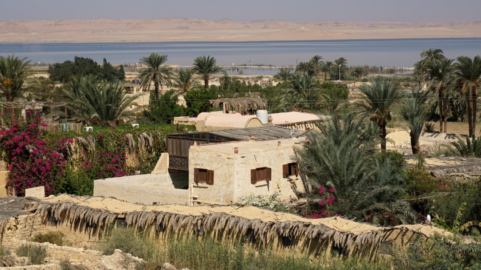 Village de Tunis, au coeur de l'oasis d'El Fayoum