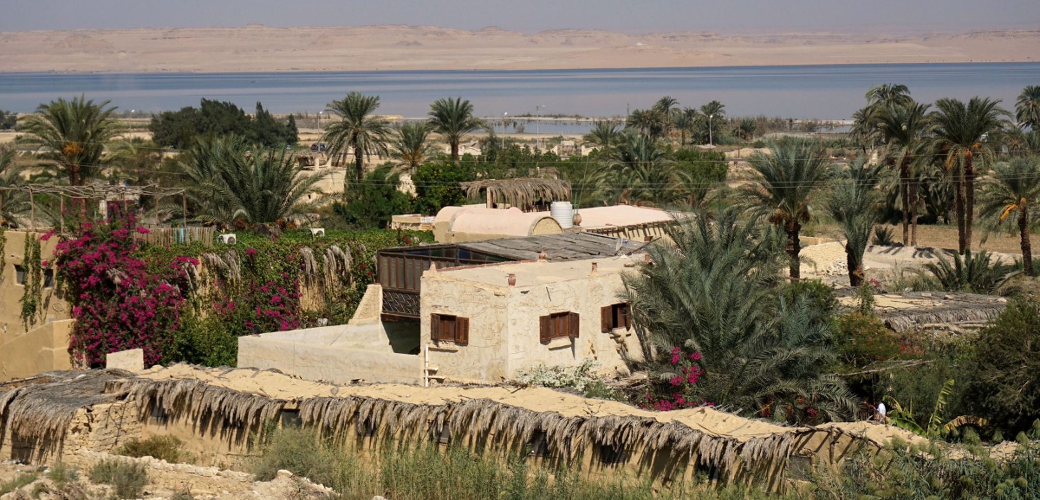 Village de Tunis, au coeur de l'oasis d'El Fayoum