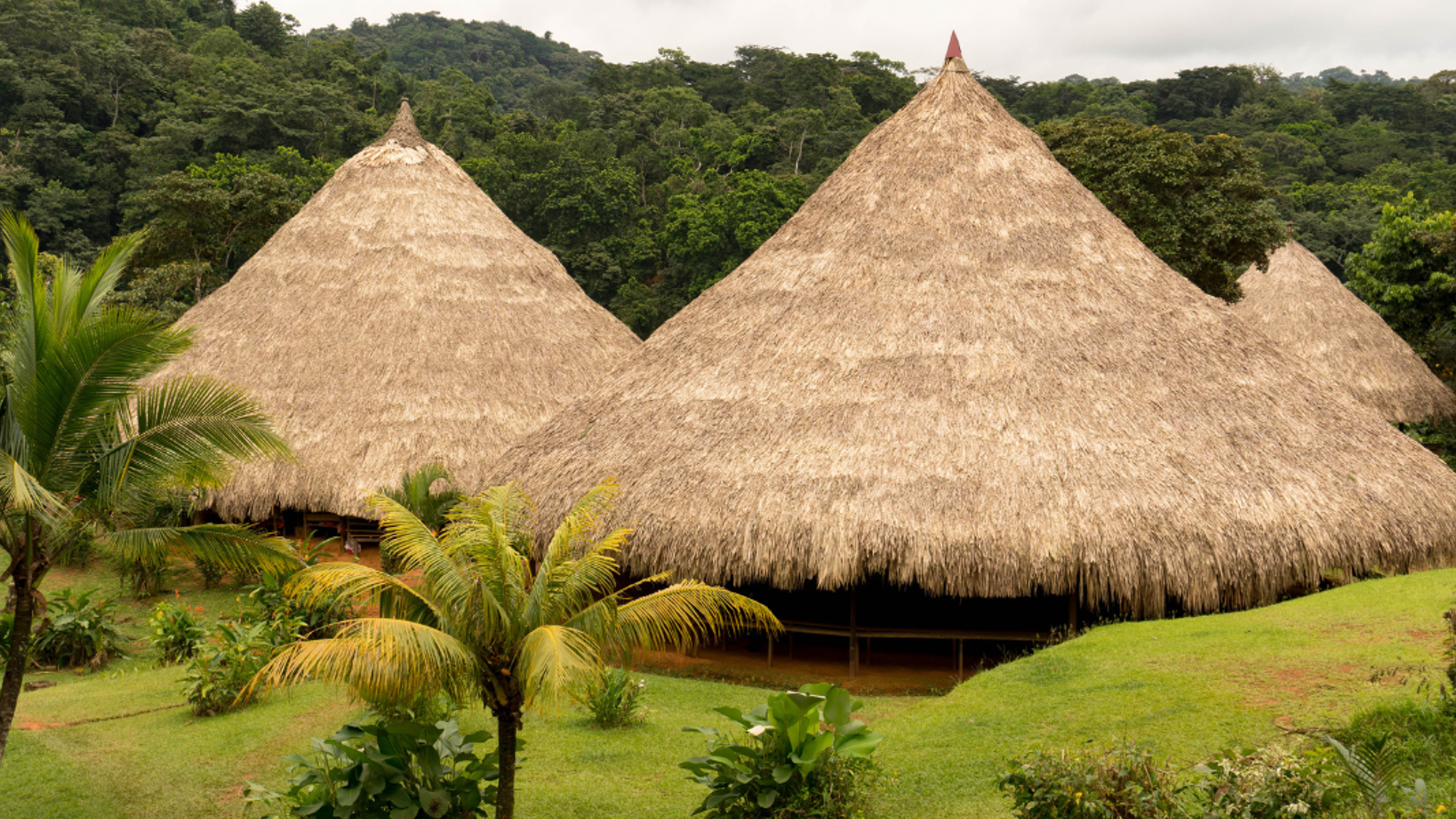 Une immersion dans un village Embara - jour 9