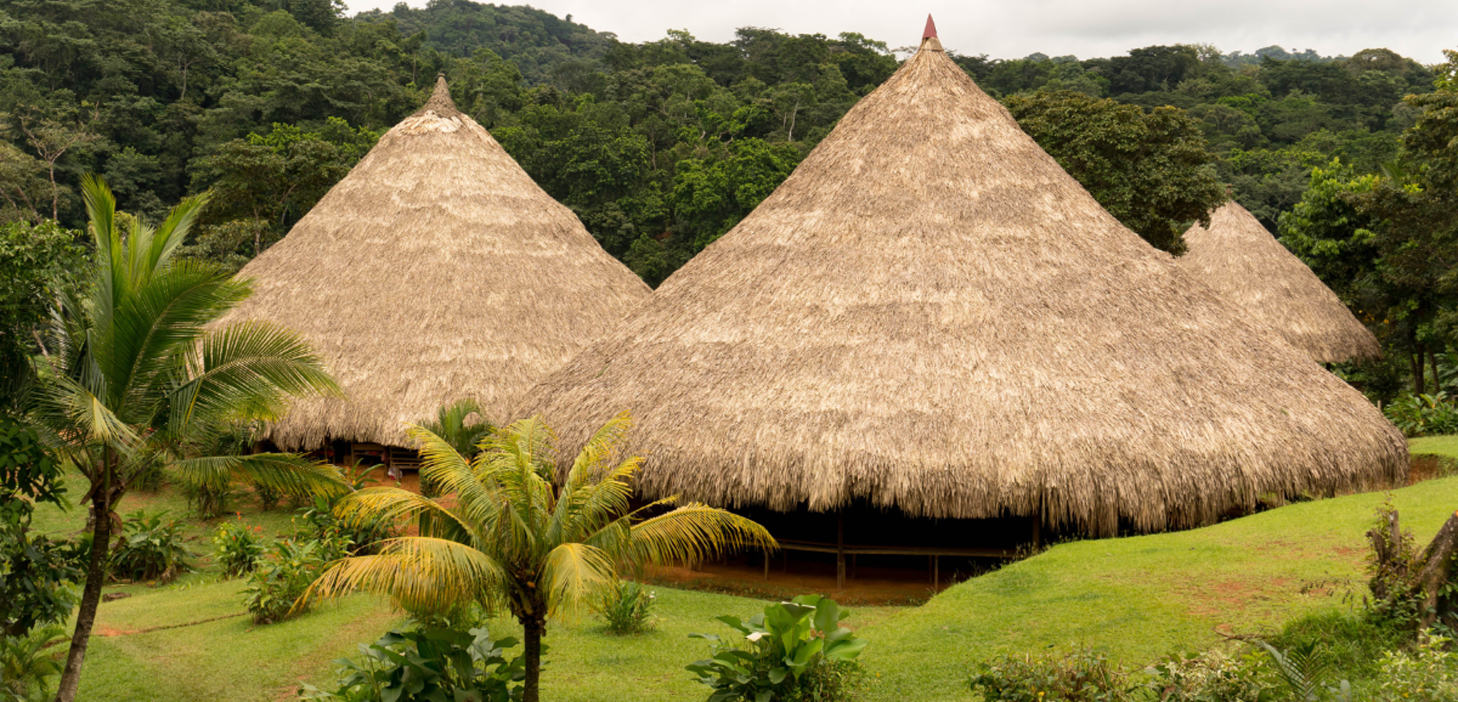 Une immersion dans un village Embara - jour 9