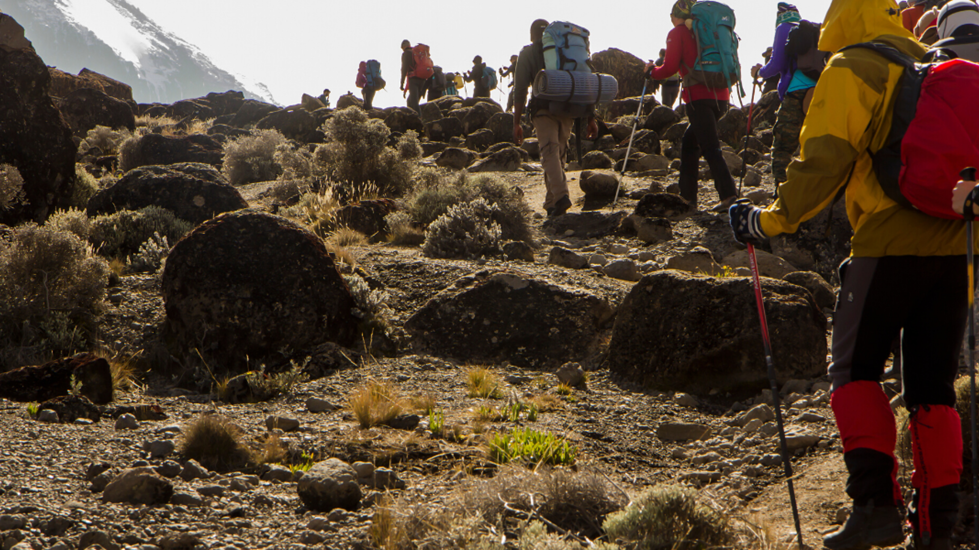 Changement de décor, la végétation se fait plus rare avec l'altitude
