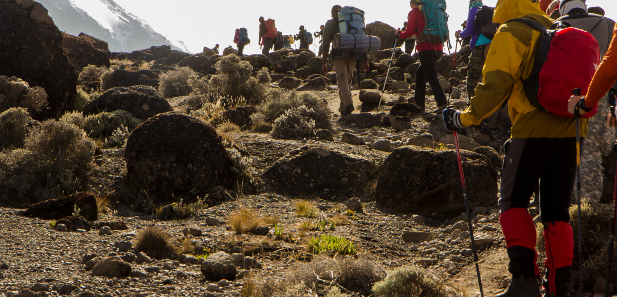 Changement de décor, la végétation se fait plus rare avec l'altitude