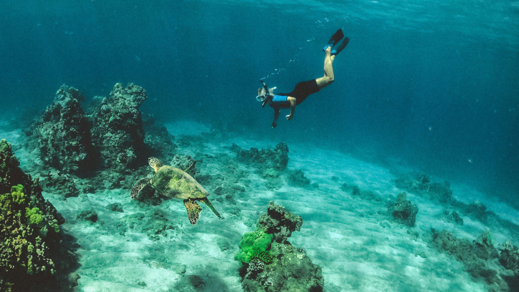 Snorkeling, Maldives