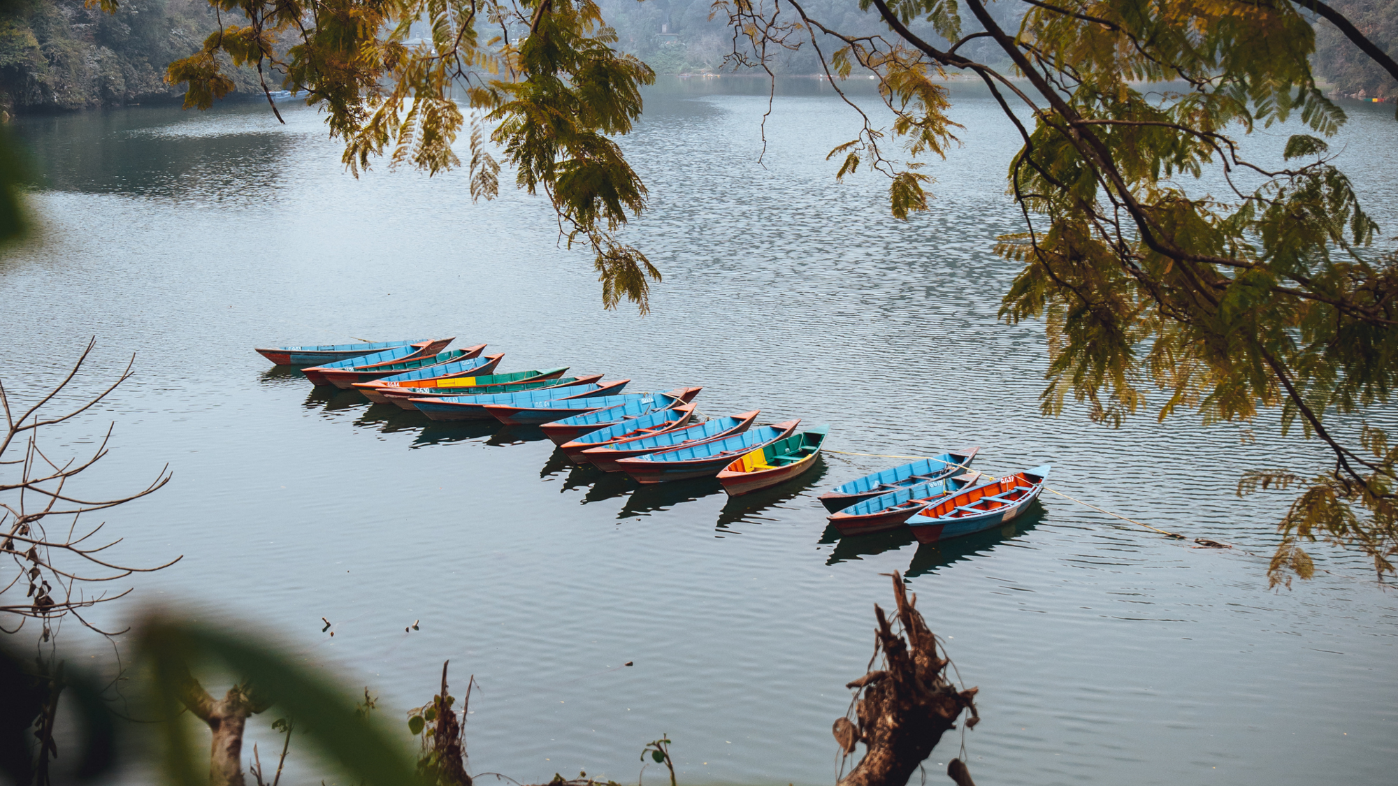Pokhara, Népal ©Maxime Moreau