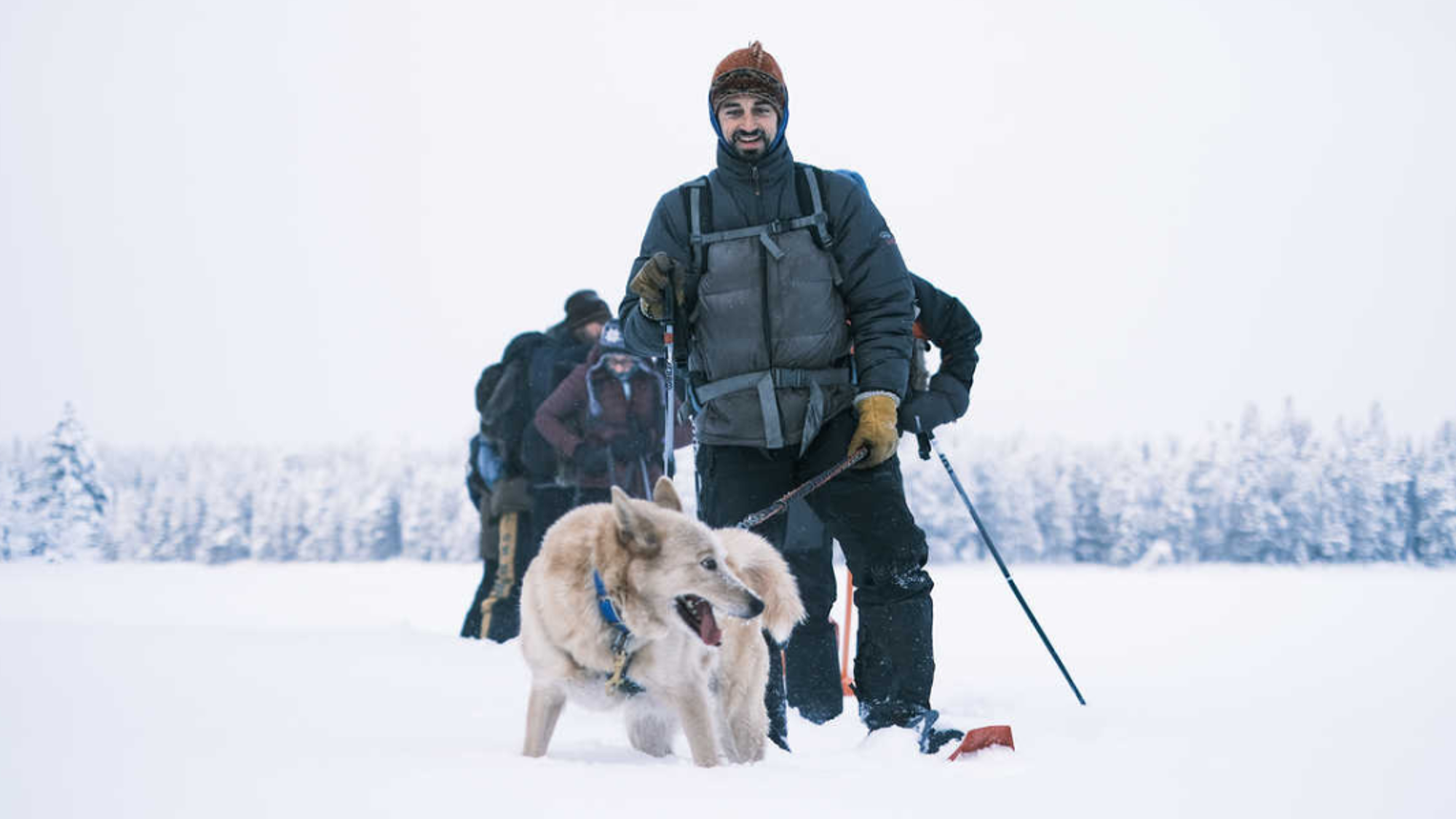 Une journée en cani-rando - jour 4