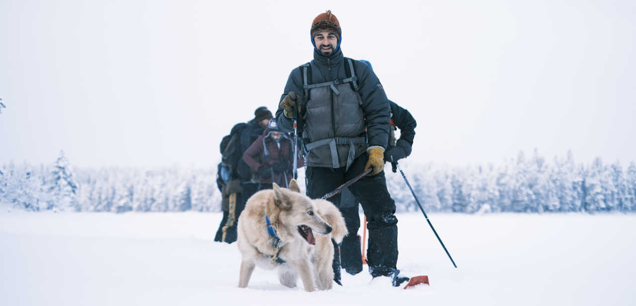 Une journée en cani-rando - jour 4