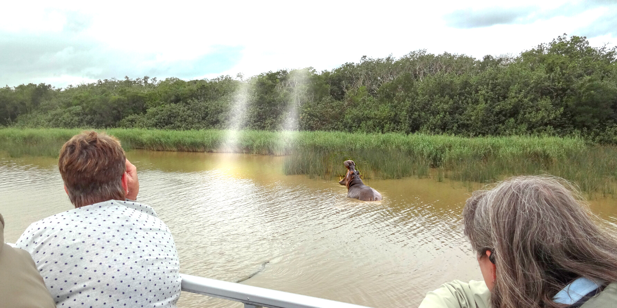 A la rencontre des hippopotames ! 