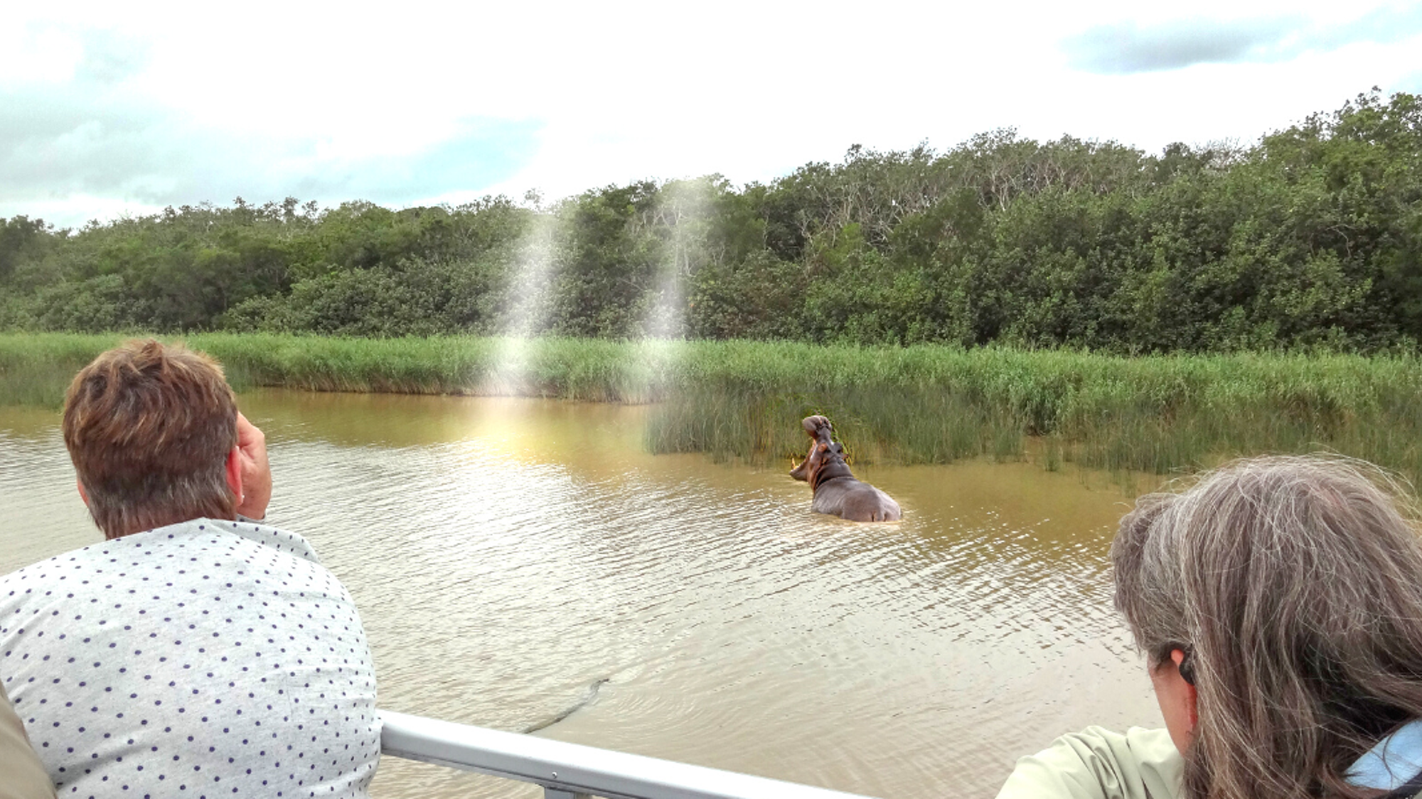 A la rencontre des hippopotames !