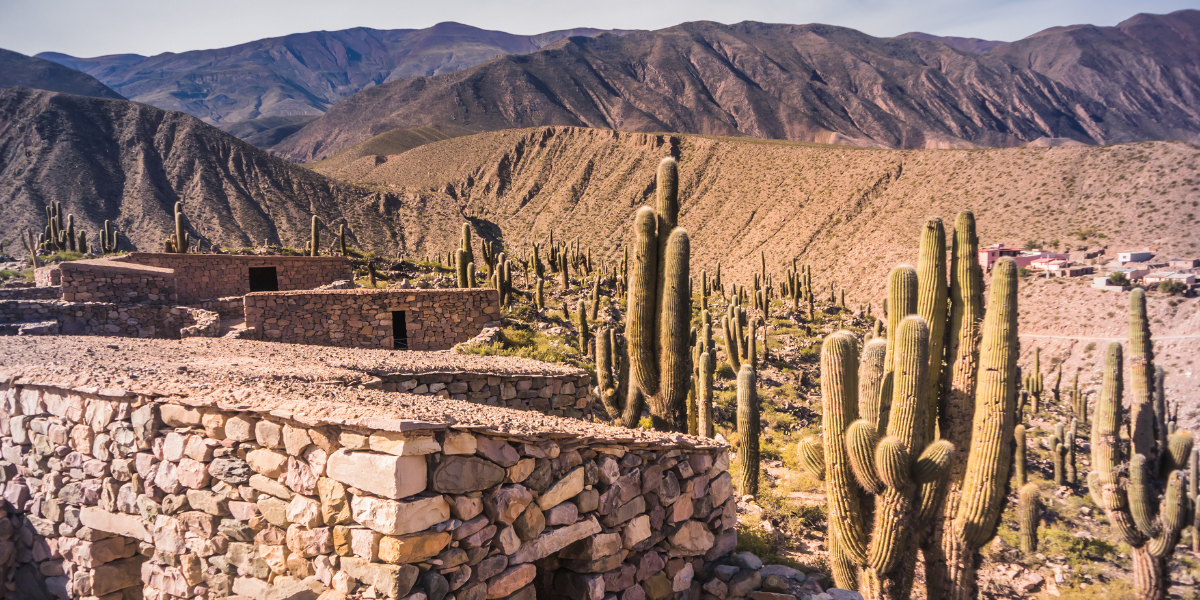 L'exploration de Pucará de Tilcara, une ancienne forteresse indigène - jour 12 (Argentine) 