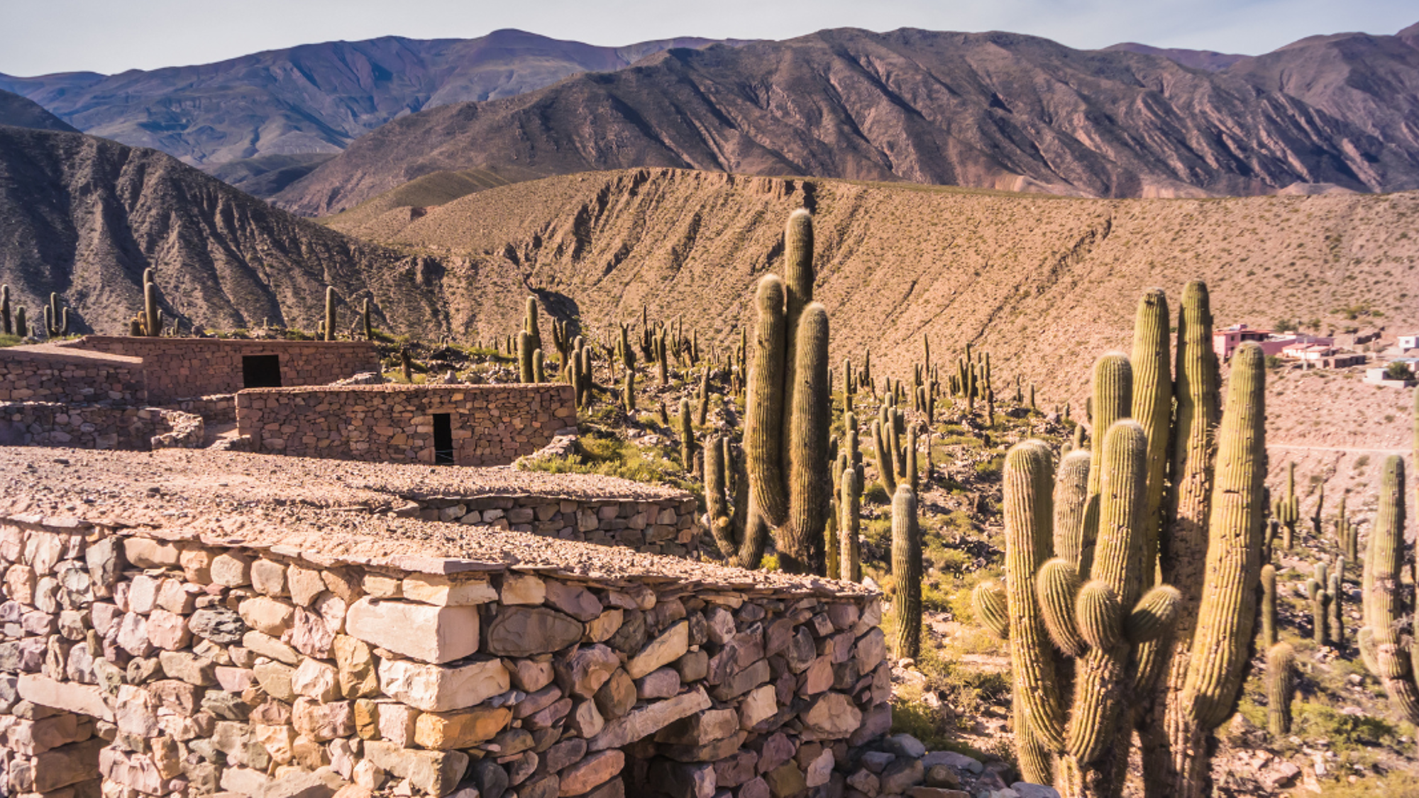 L'exploration de Pucará de Tilcara, une ancienne forteresse indigène - jour 12 (Argentine)