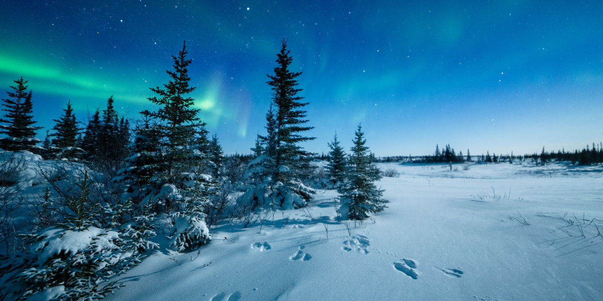 Bienvenue en Laponie ! 