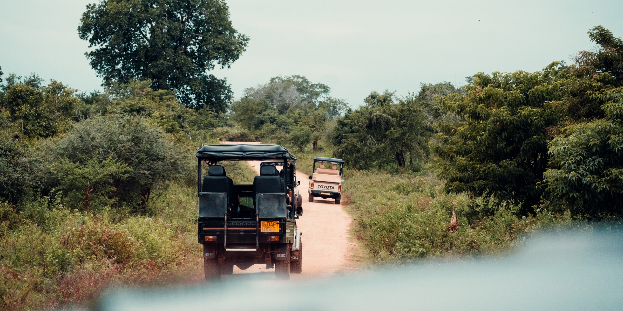 Sri Lanka ©Maxime Moreau 