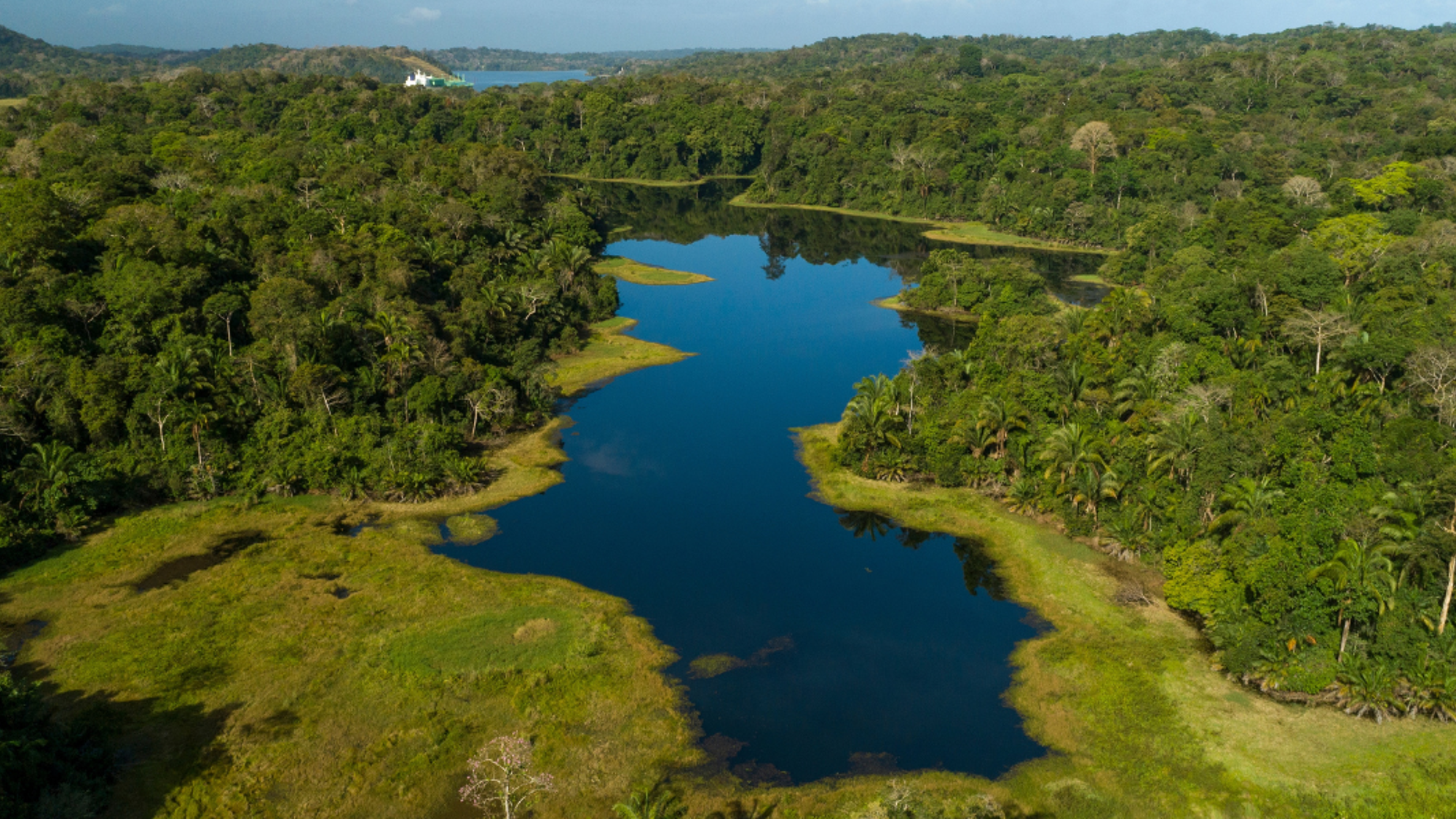 La forêt tropicale du Parc national Soberania - jour 11