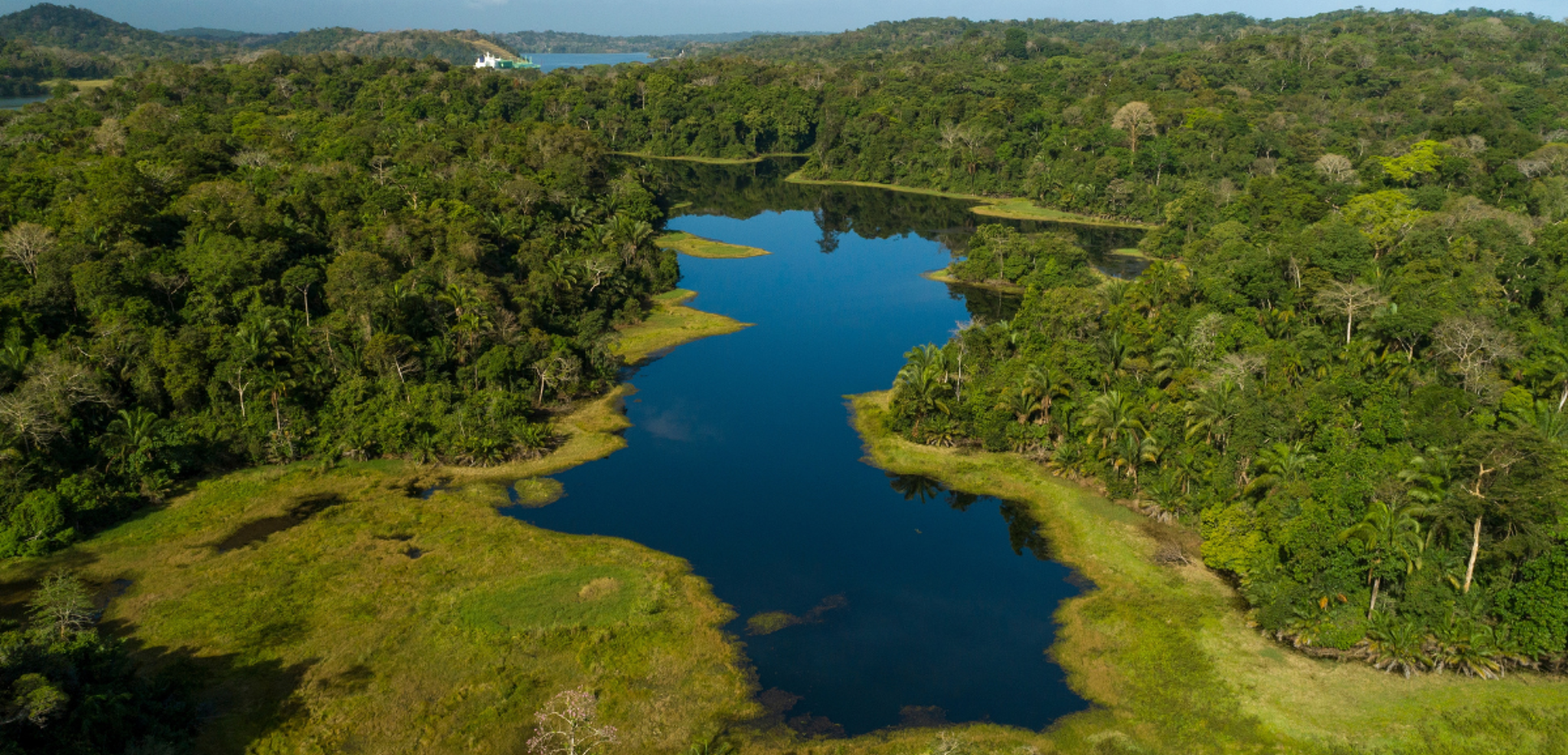 La forêt tropicale du Parc national Soberania - jour 11