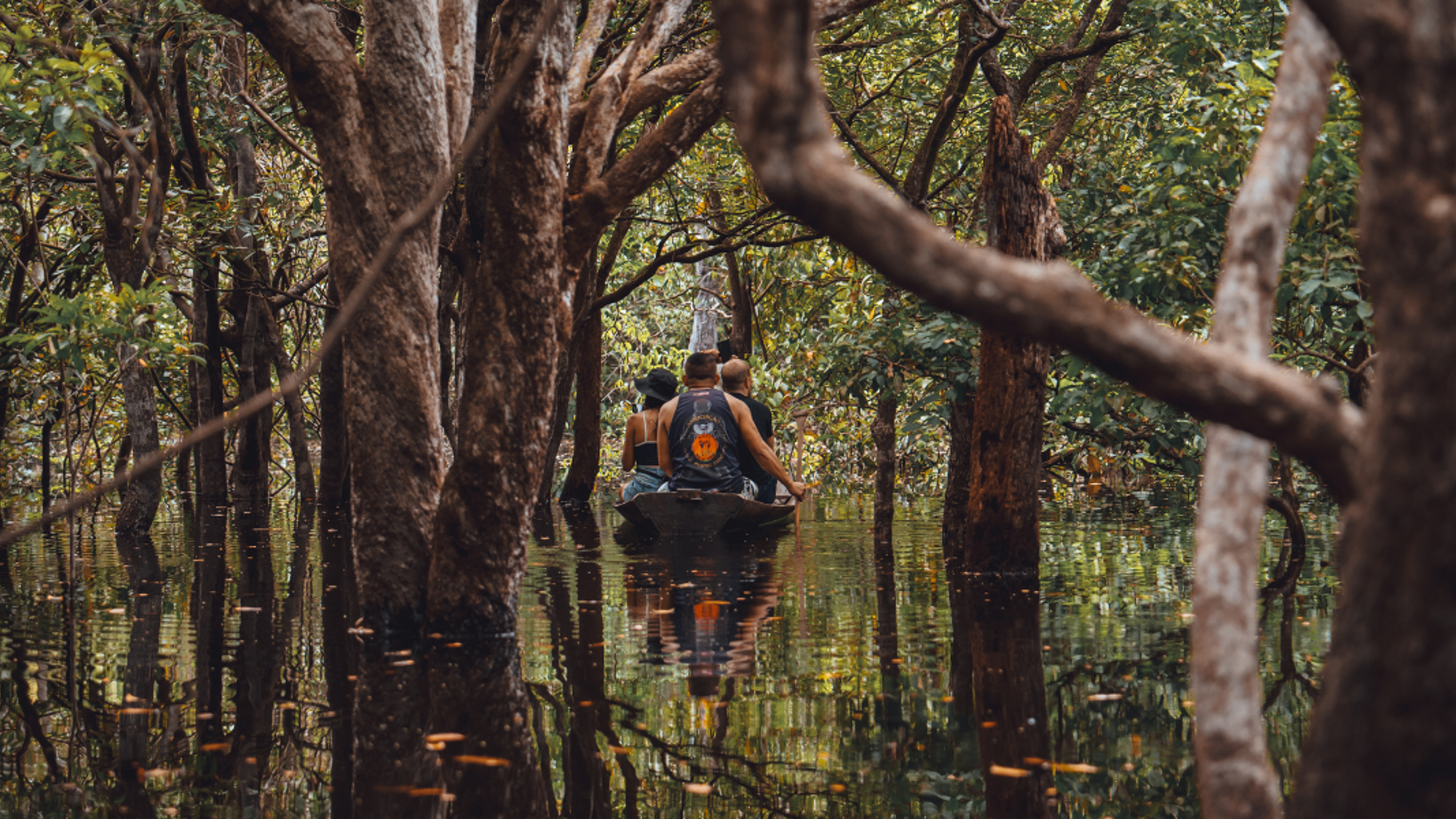 Explorez la mangrove