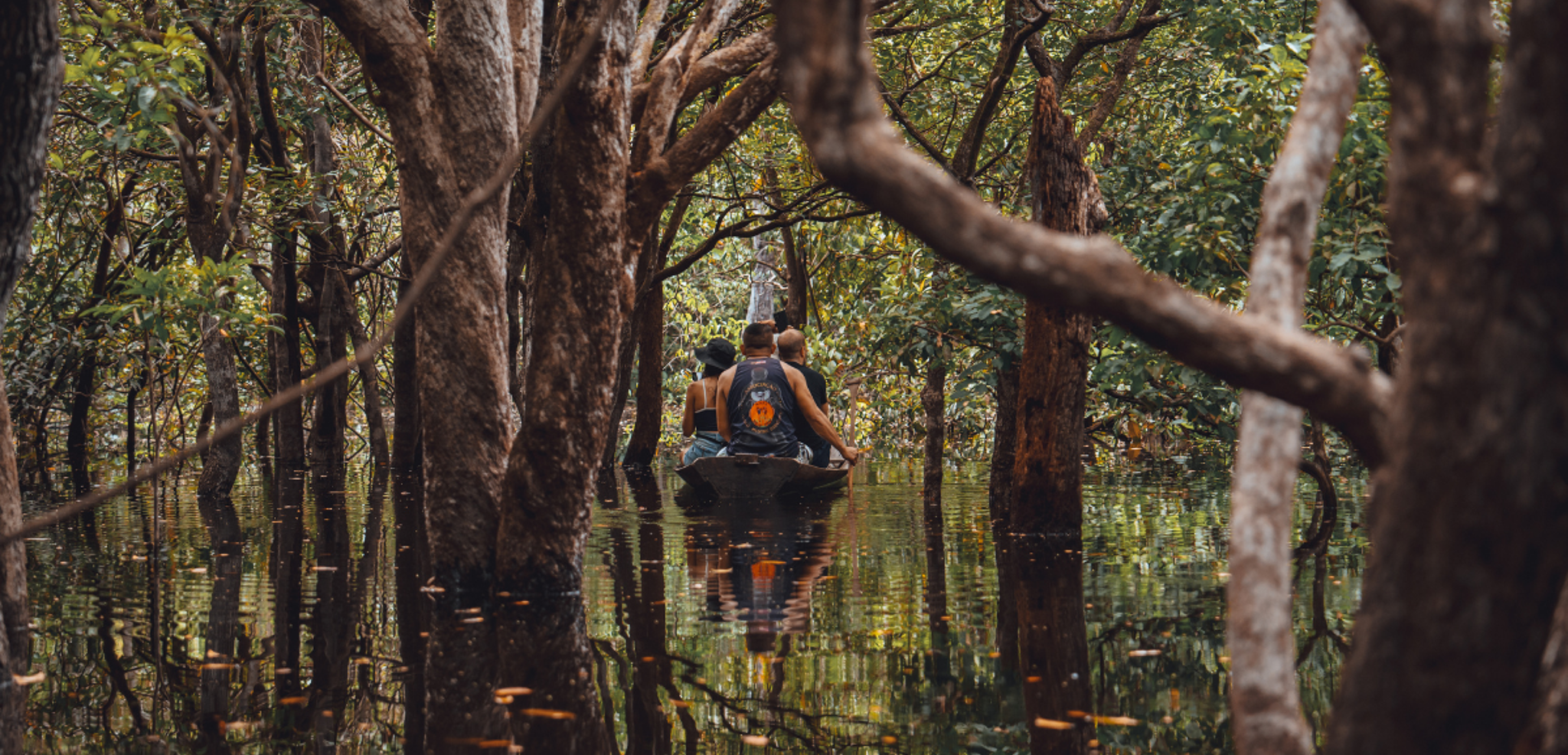 Explorez la mangrove