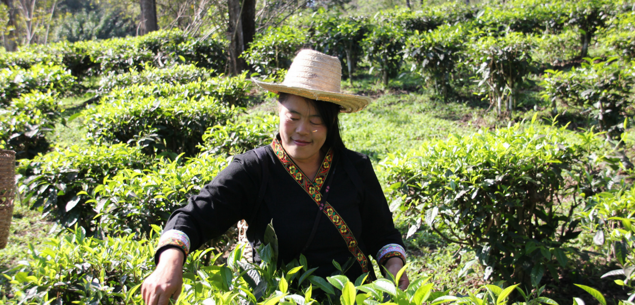 Découvrez la campagne thaïlandaise !