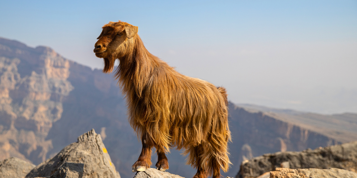 Au gré des rencontres 