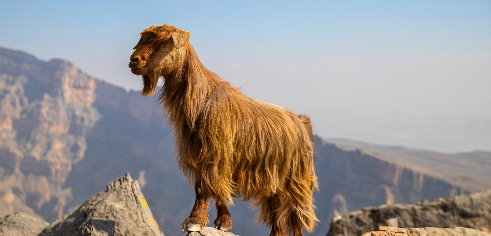 Au gré des rencontres