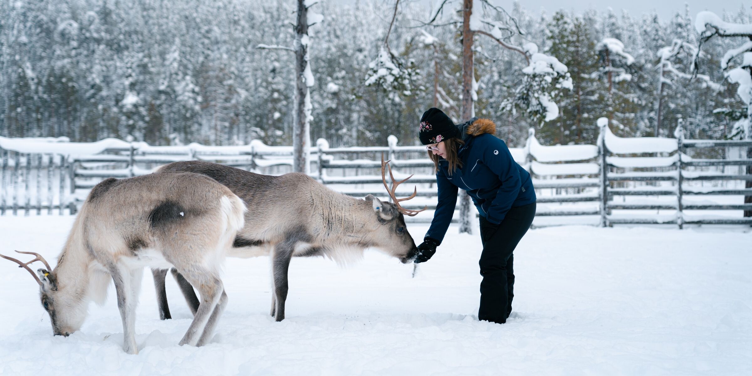 Salla, Finlande ©Salla Wilderness Park 