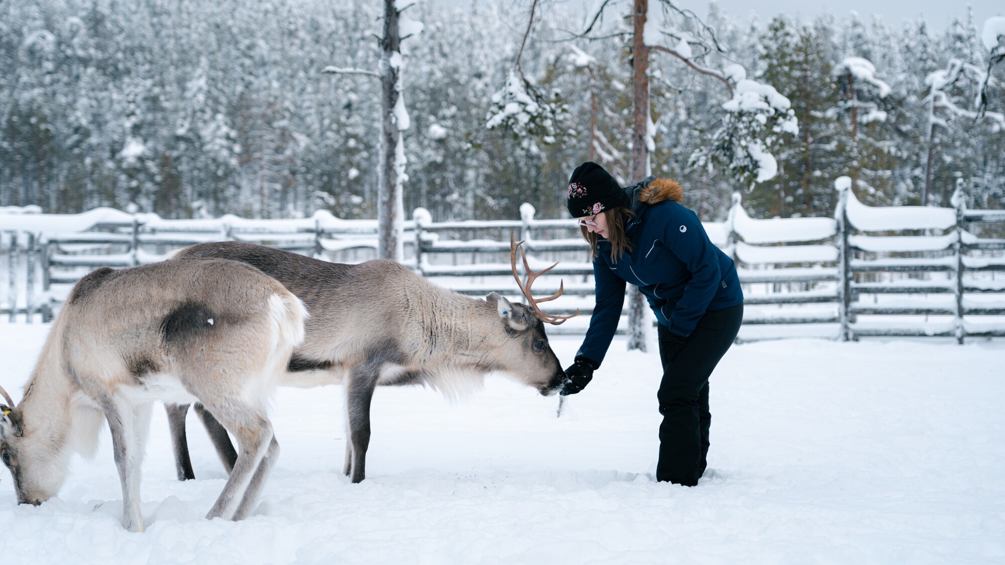 Salla, Finlande ©Salla Wilderness Park