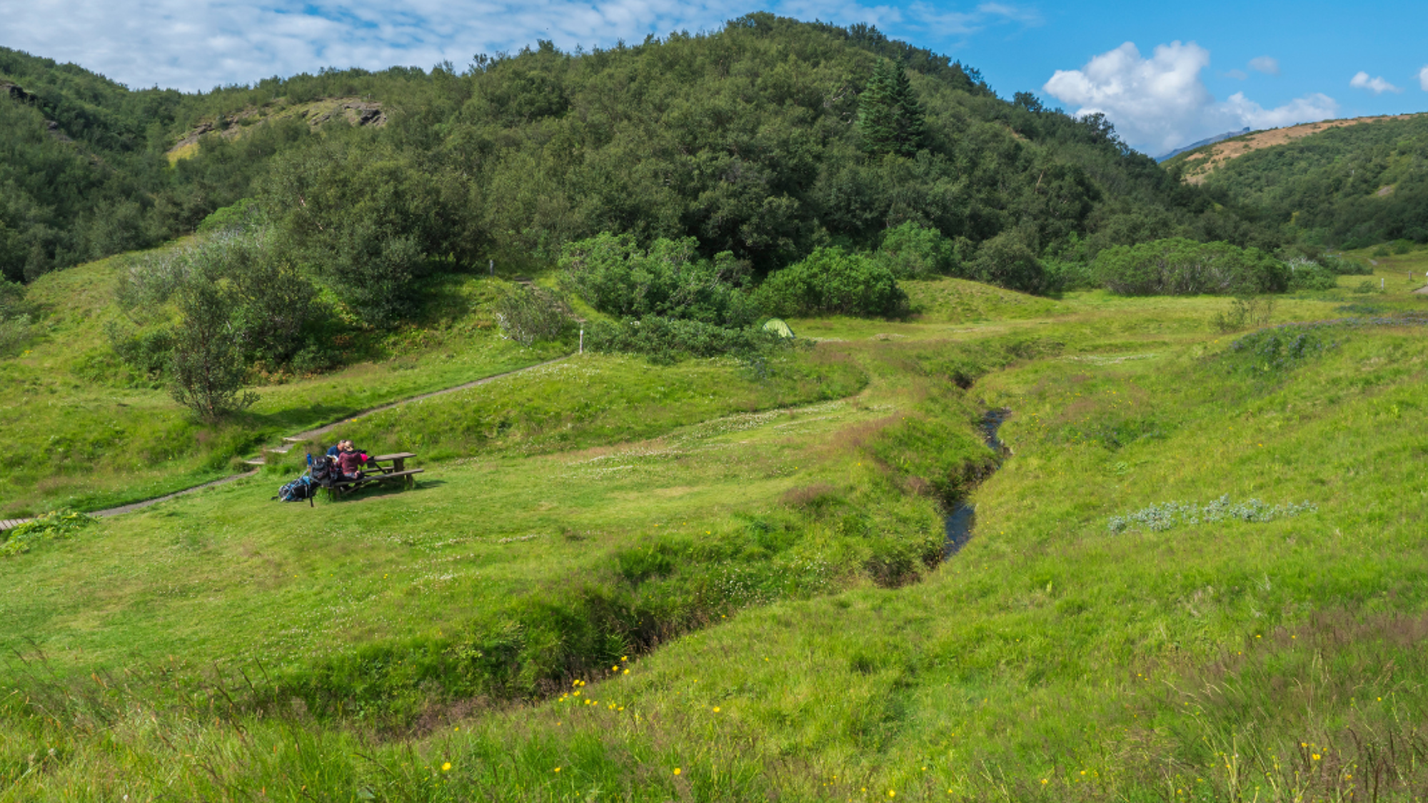 Une pause pique-nique dans la verdure de Thorsmörk - Jour 6