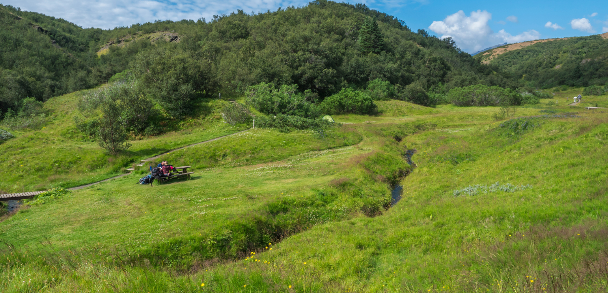 Une pause pique-nique dans la verdure de Thorsmörk - Jour 6
