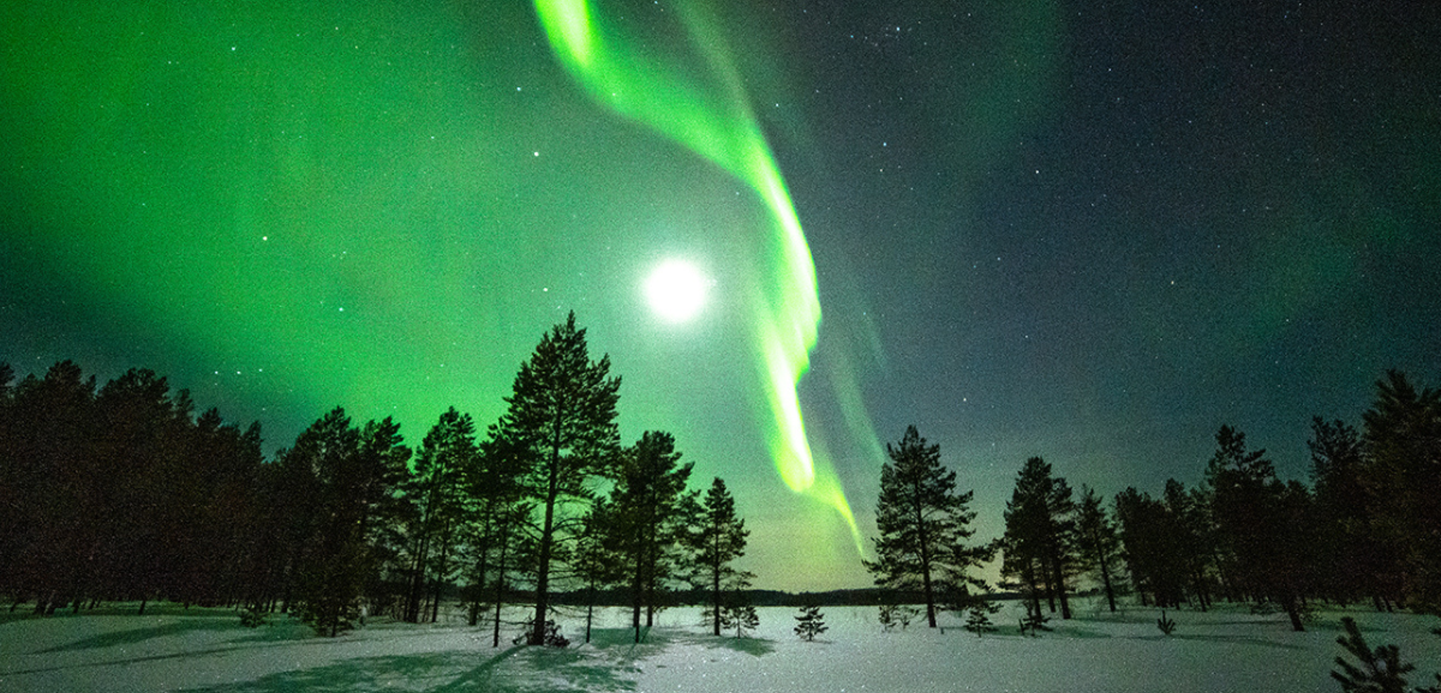 Aurores boréales dans la taïga