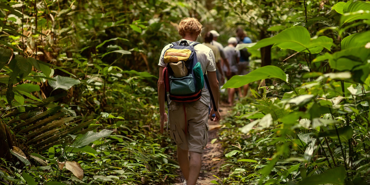 Une balade en pleine jungle - jour 9 