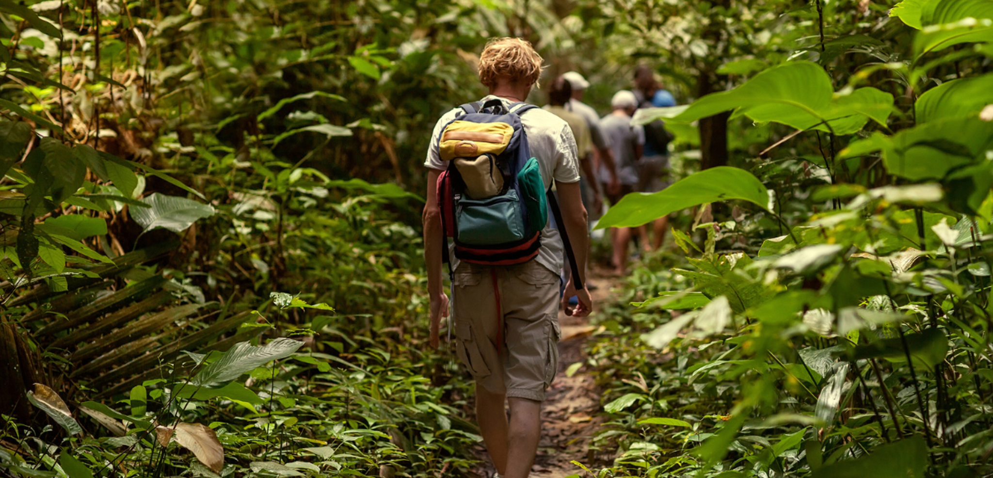 Une balade en pleine jungle - jour 9