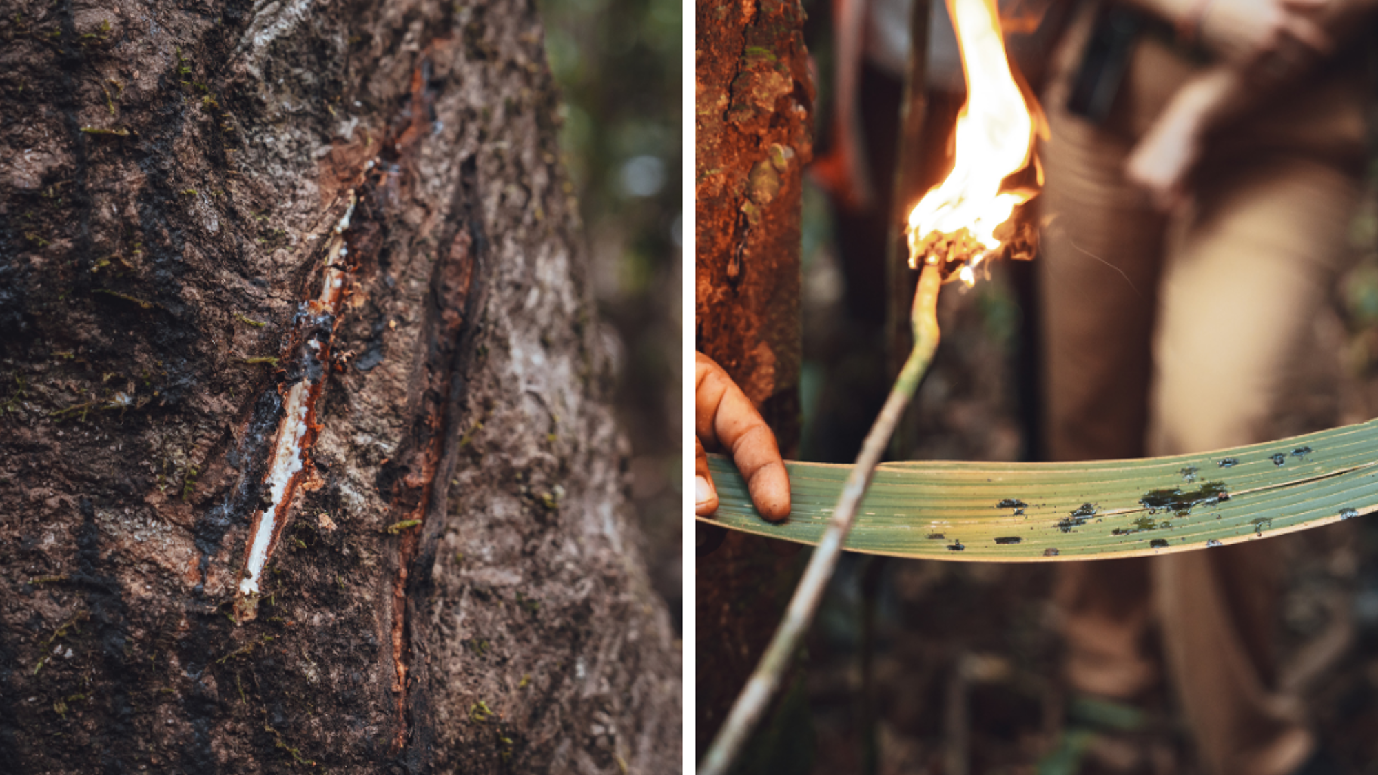 Et découvrez ses mystères et autres secrets