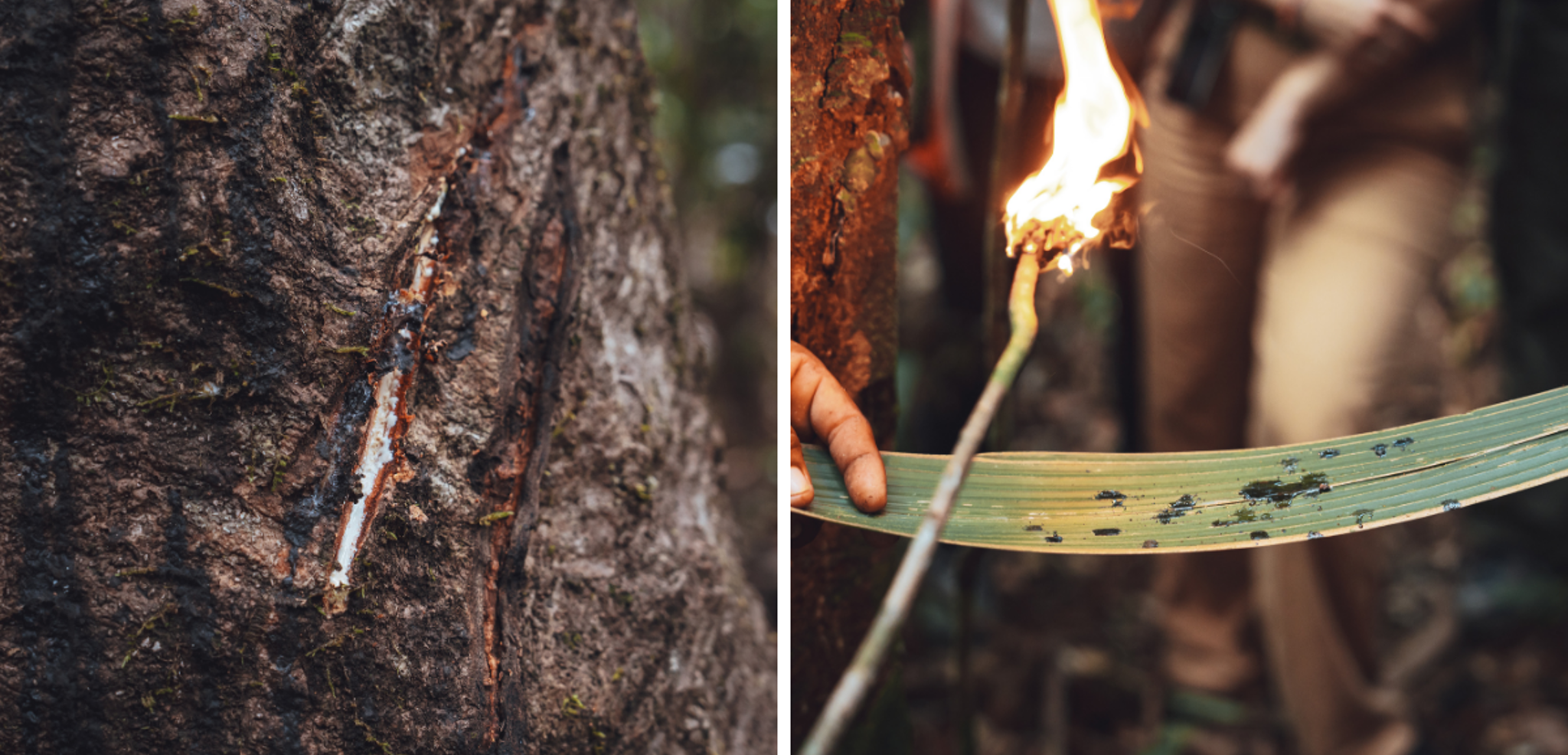 Et découvrez ses mystères et autres secrets