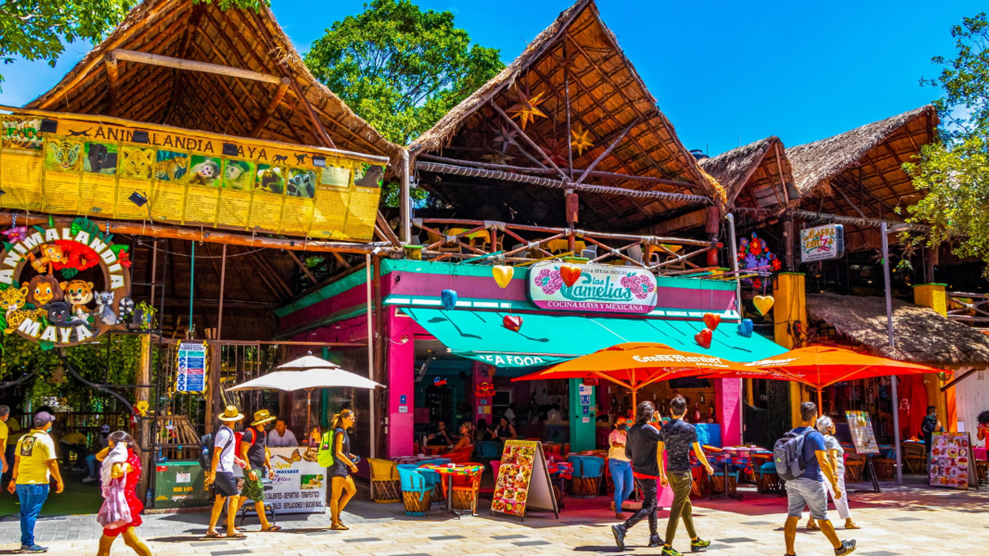 Baladez-vous sur la Quinta Avenida, Playa del Carmen
