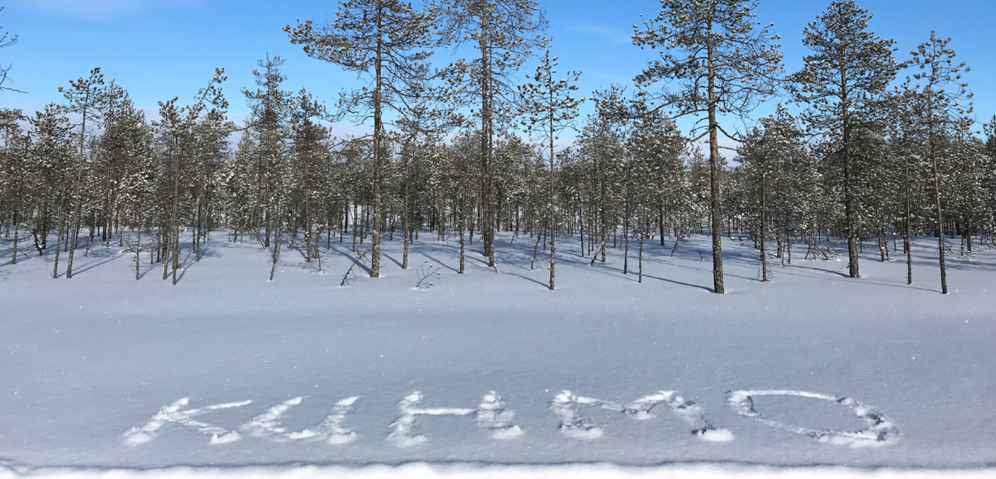 ...découvrez la ville de Kuhmo et ses grands espaces !