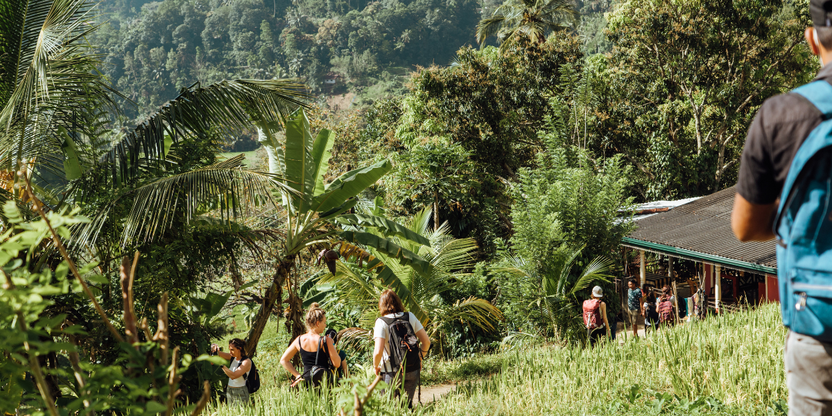 En randonnée dans les Knuckles Range mountains, Jour 4