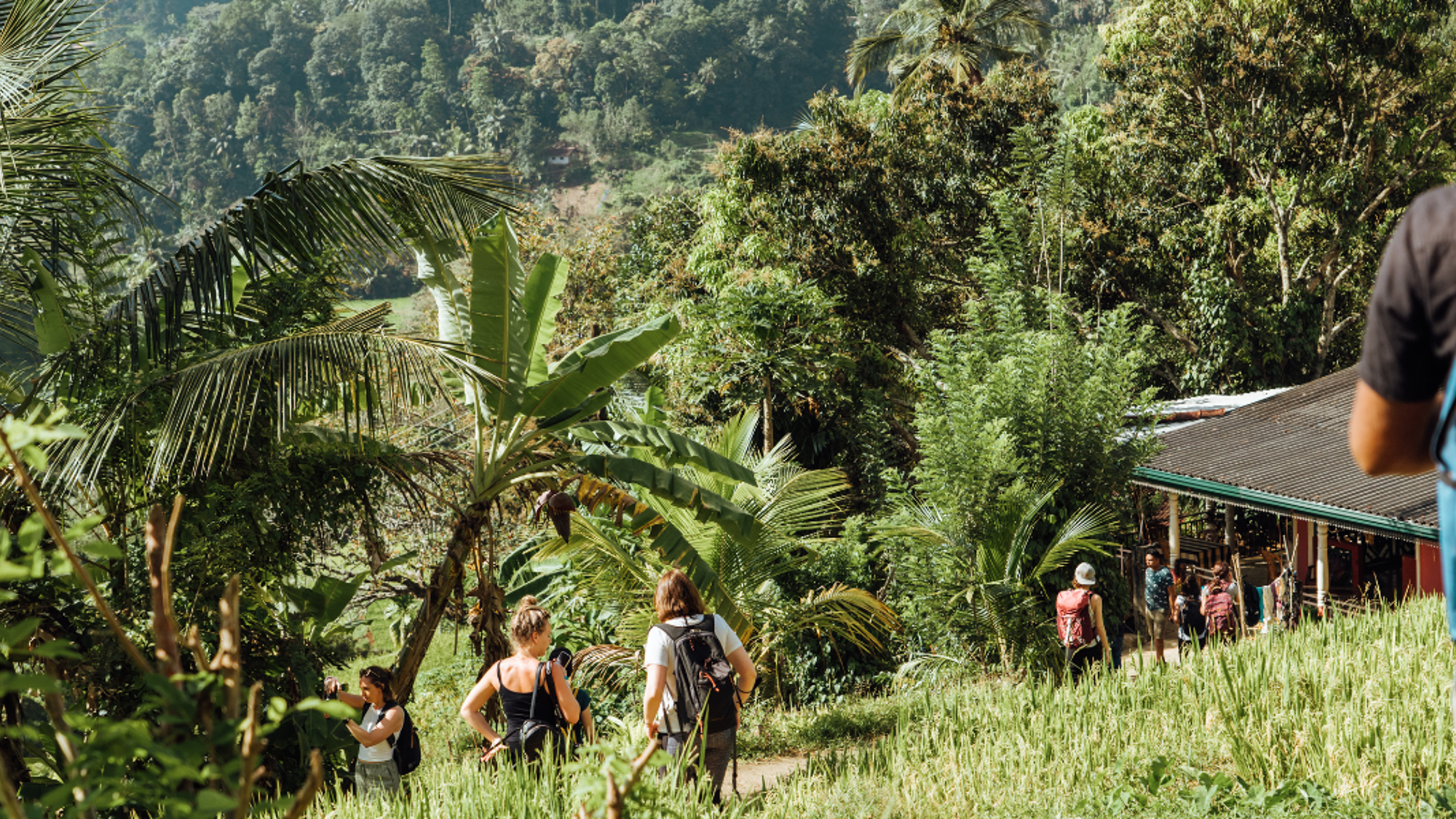 En randonnée dans les Knuckles Range mountains, Jour 4