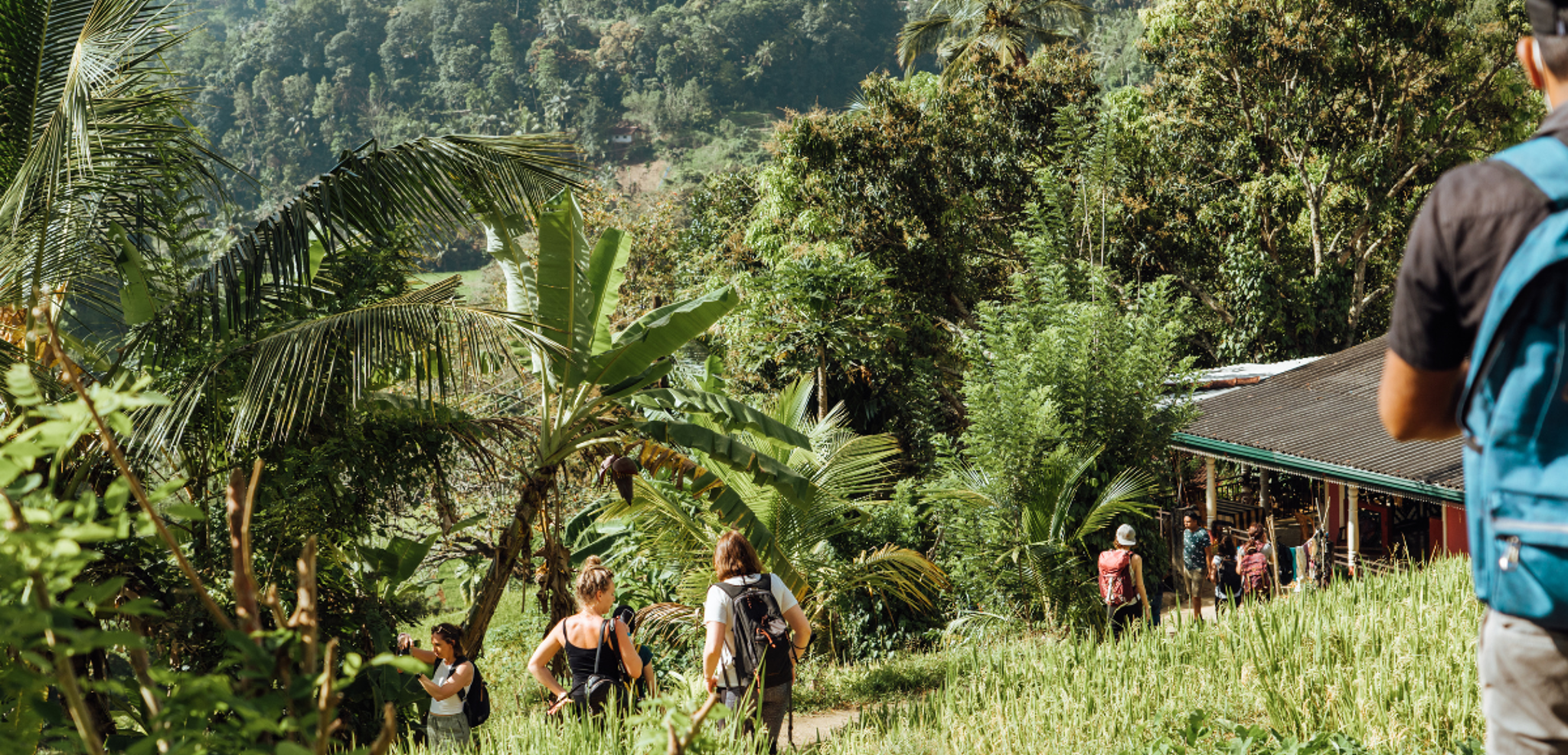 En randonnée dans les Knuckles Range mountains, Jour 4