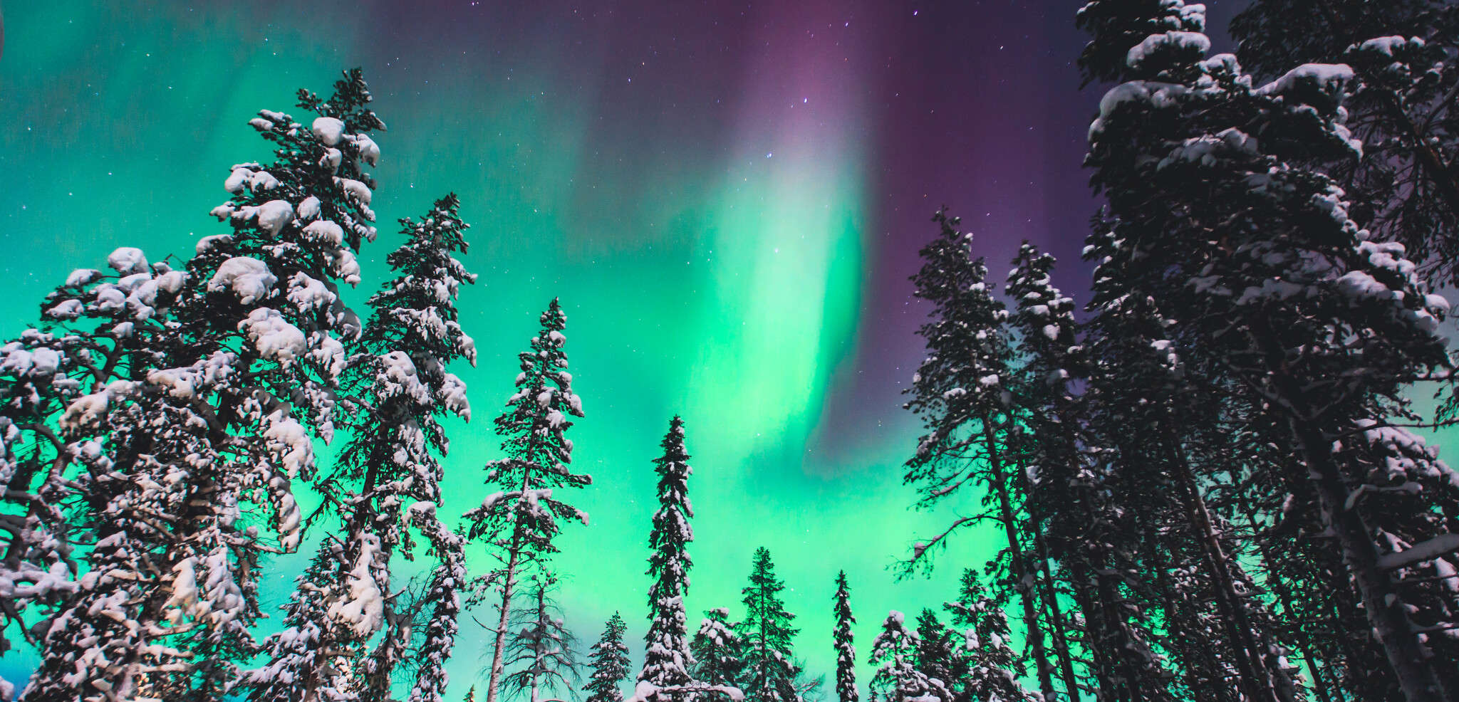 Vous aurez peut-être la chance d'observer des aurores boréales ! (phénomène imprévisible)