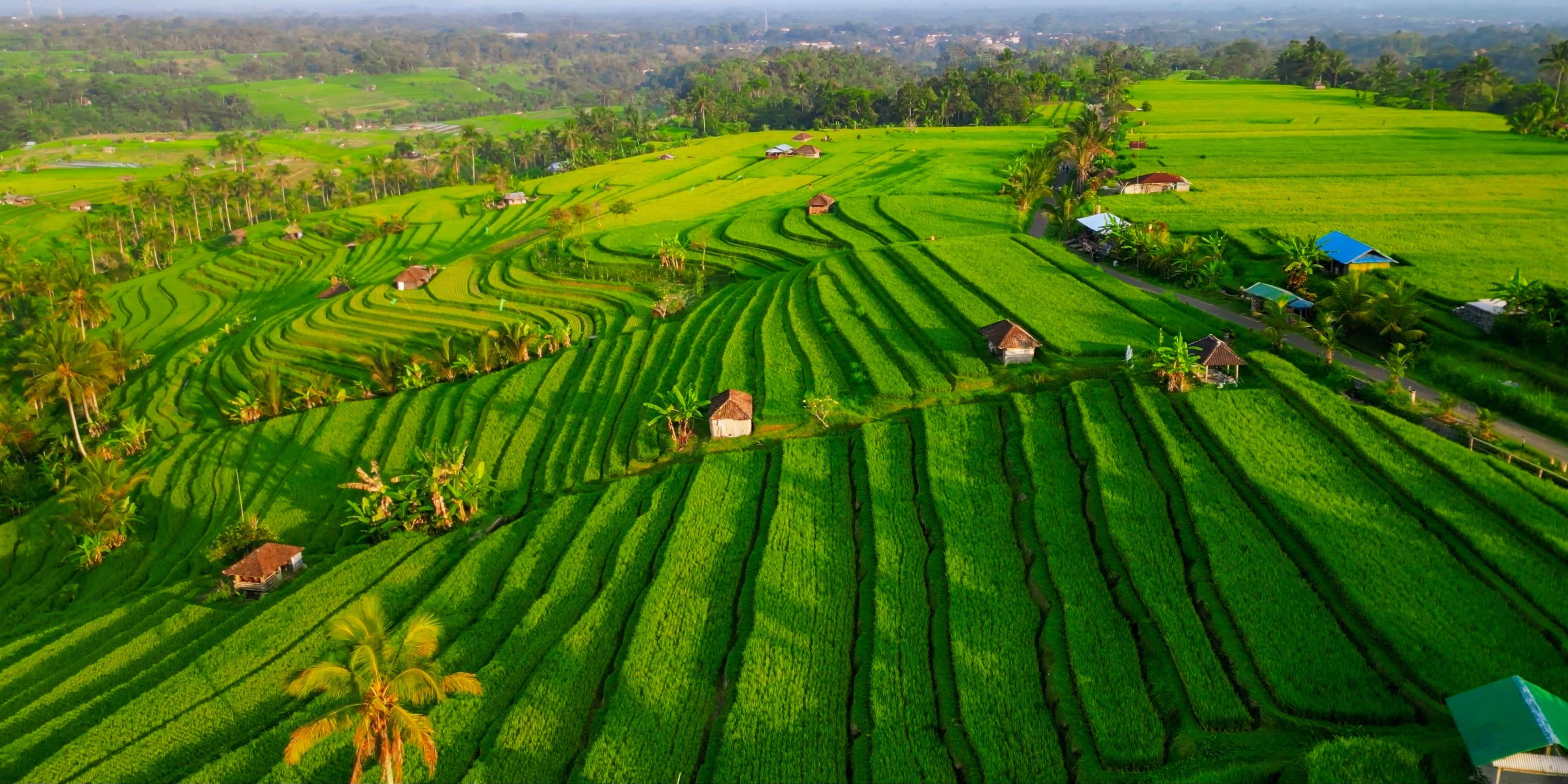 Jatiluwih, Bali, Indonésie ©Shutterstock.com 